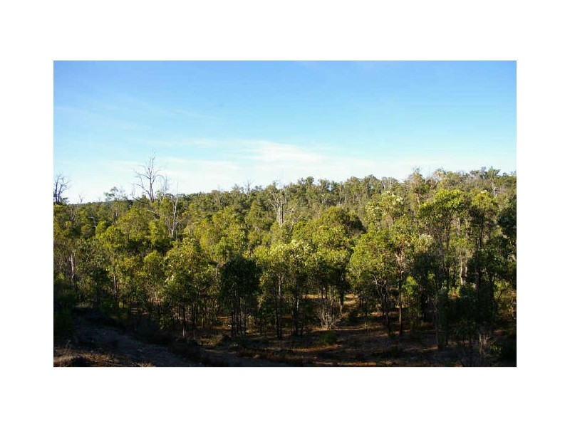Lot 3849 Longbottom Road, Nannup WA 6275