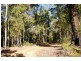 Lot 3849 Longbottom Road, Nannup WA 6275