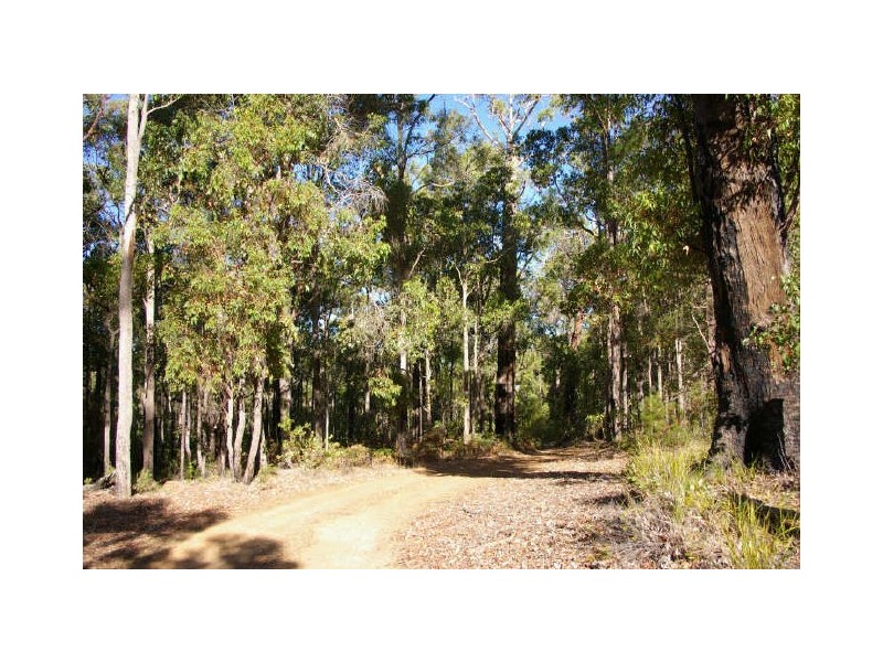 Lot 3849 Longbottom Road, Nannup WA 6275