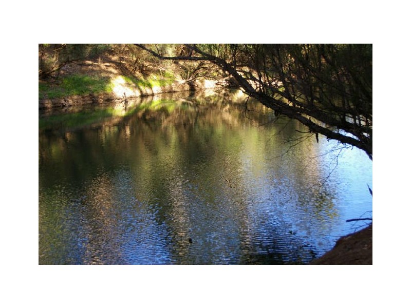 Lot 3849 Longbottom Road, Nannup WA 6275