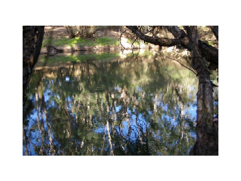 Lot 3849 Longbottom Road, Nannup WA 6275