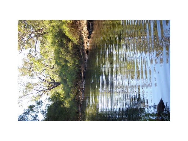 Lot 3849 Longbottom Road, Nannup WA 6275