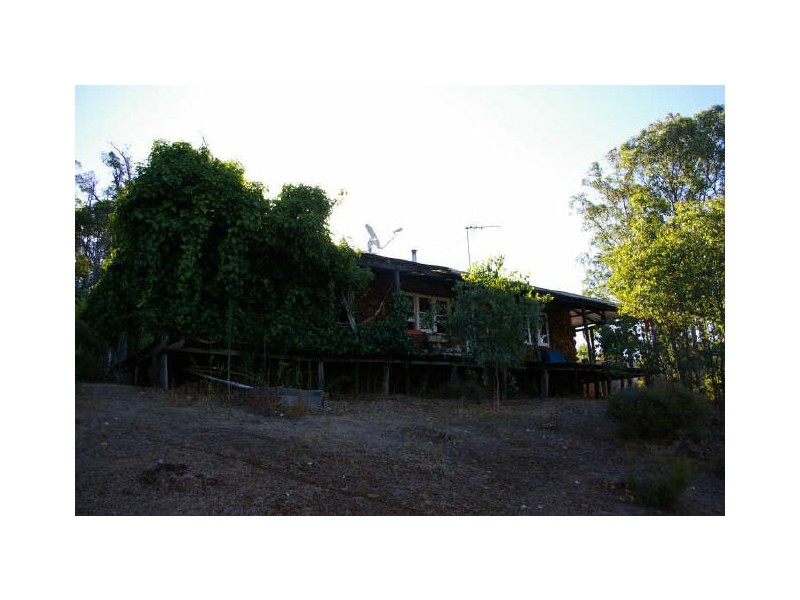 Lot 3849 Longbottom Road, Nannup WA 6275