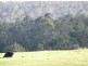 Lot 12 Blackwood River Drive, Nannup WA 6275