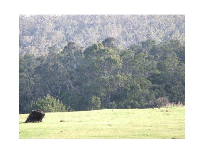 Lot 12 Blackwood River Drive, Nannup WA 6275
