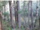 Lot 12 Blackwood River Drive, Nannup WA 6275
