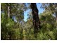 Lot 13 Orchid Place, Nannup WA 6275