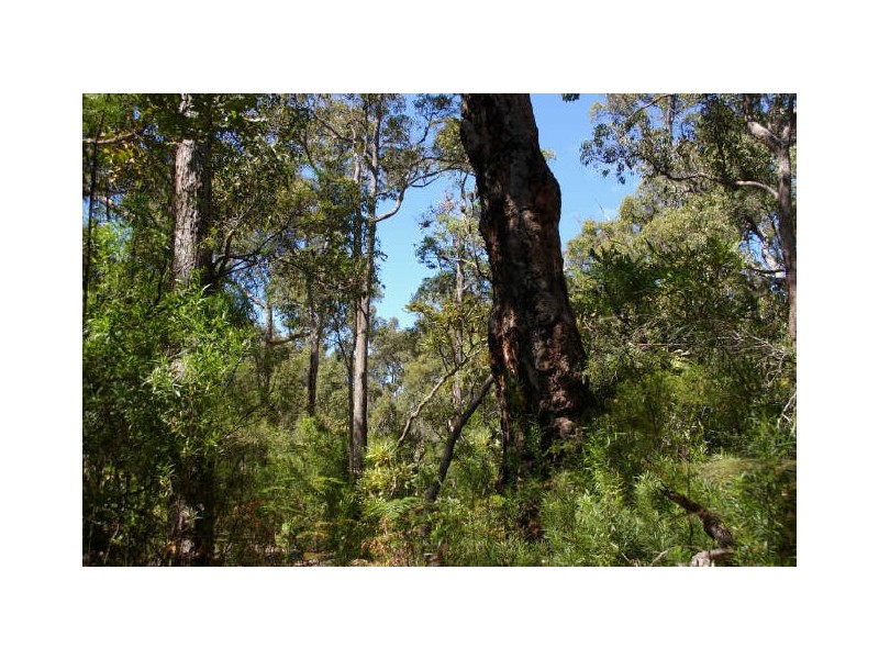 Lot 13 Orchid Place, Nannup WA 6275