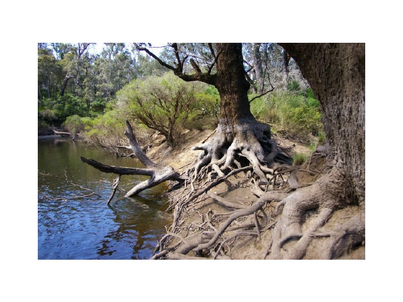 Lot 13 Orchid Place, Nannup WA 6275