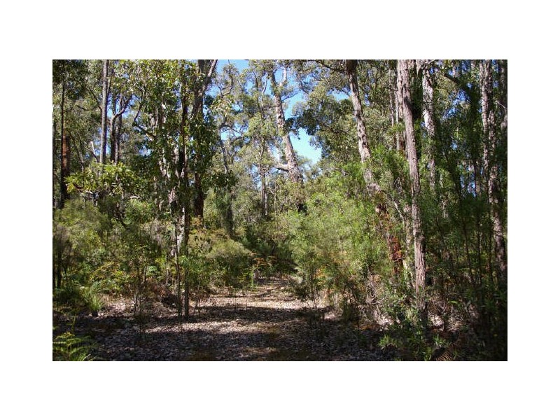 Lot 13 Orchid Place, Nannup WA 6275