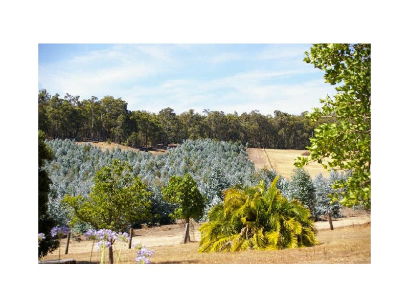 Lot 11983 Vasse Hwy, Nannup WA 6275