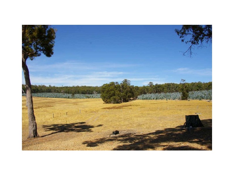 Lot 11983 Vasse Hwy, Nannup WA 6275