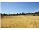 Lot 11983 Vasse Hwy, Nannup WA 6275