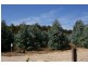 Lot 11983 Vasse Hwy, Nannup WA 6275