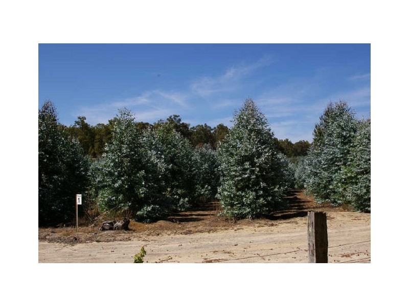 Lot 11983 Vasse Hwy, Nannup WA 6275
