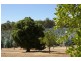 Lot 11983 Vasse Hwy, Nannup WA 6275