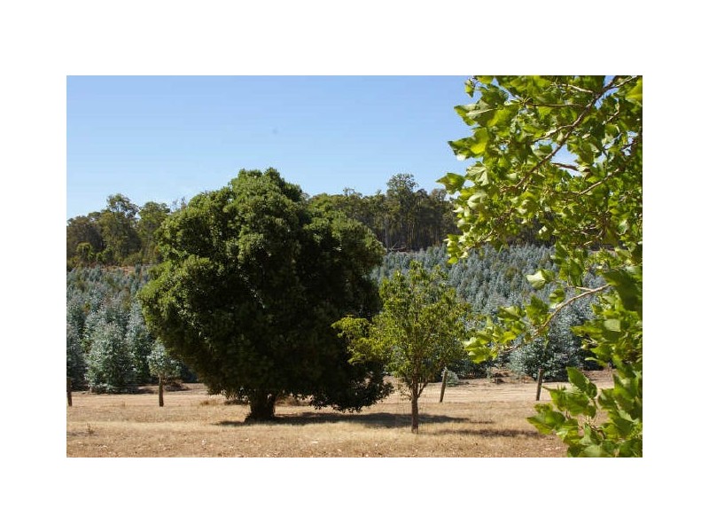 Lot 11983 Vasse Hwy, Nannup WA 6275