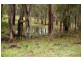 Proposed Lot B/Lot 902 Perks Road, Nannup WA 6275