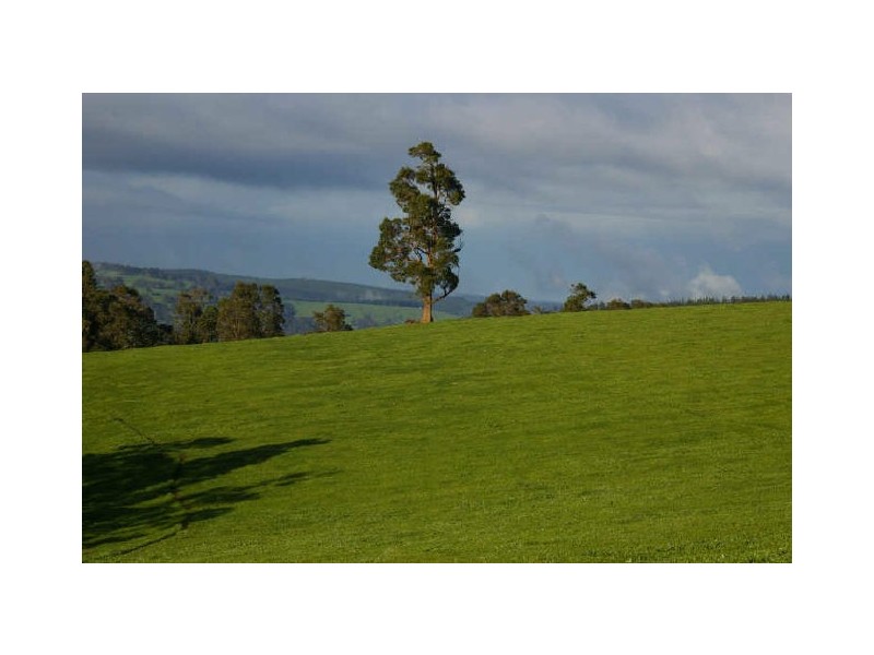 Proposed Lot C/Lot 902 Perks Road, Nannup WA 6275