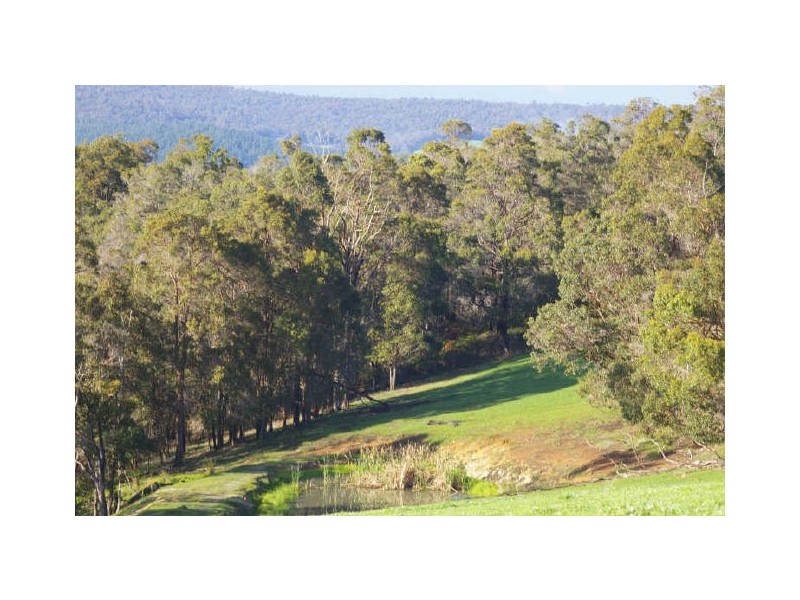 Proposed Lot C/Lot 902 Perks Road, Nannup WA 6275