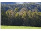 Proposed Lot C/Lot 902 Perks Road, Nannup WA 6275
