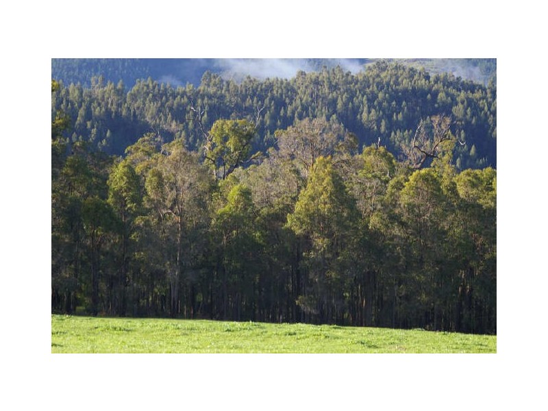 Proposed Lot C/Lot 902 Perks Road, Nannup WA 6275