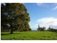 Proposed Lot D/Lot 902 Perks Road, Nannup WA 6275