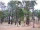 Proposed Lot D/Lot 902 Perks Road, Nannup WA 6275