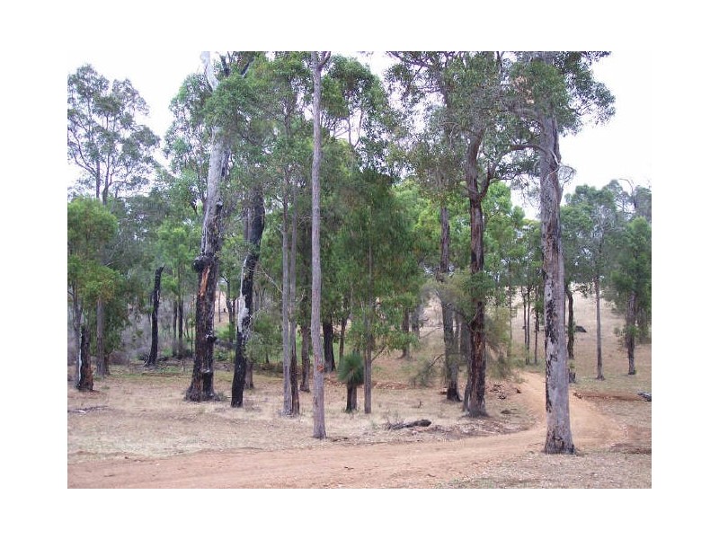 Proposed Lot D/Lot 902 Perks Road, Nannup WA 6275