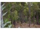 Lot 61 Carey Street, Nannup WA 6275