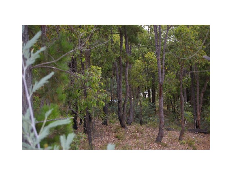 Lot 61 Carey Street, Nannup WA 6275