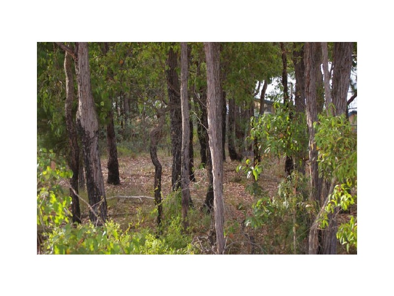 Lot 61 Carey Street, Nannup WA 6275