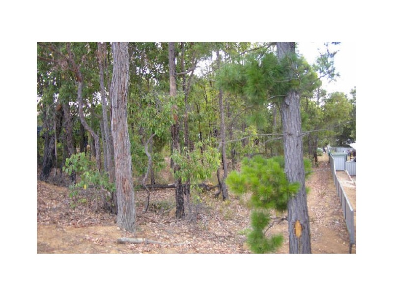 Lot 61 Carey Street, Nannup WA 6275