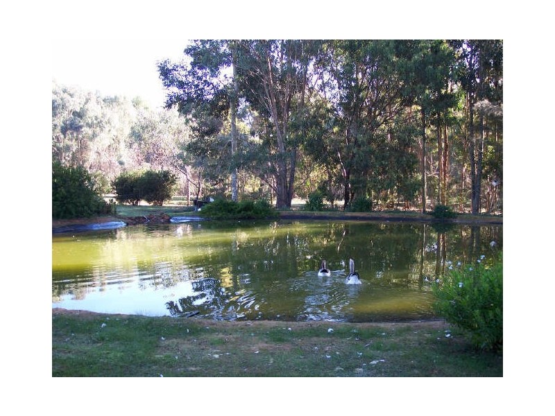 Lot 5 King Road, Nannup WA 6275