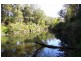 Lot 5 King Road, Nannup WA 6275