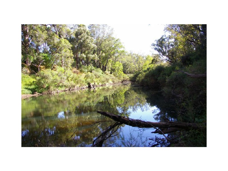 Lot 5 King Road, Nannup WA 6275