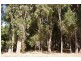 Lot 5 King Road, Nannup WA 6275
