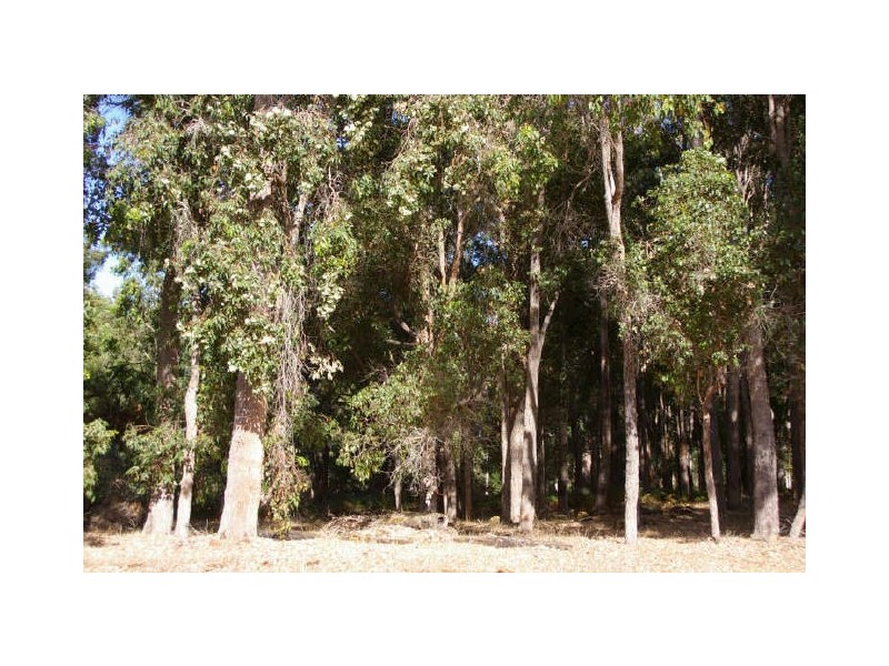 Lot 5 King Road, Nannup WA 6275