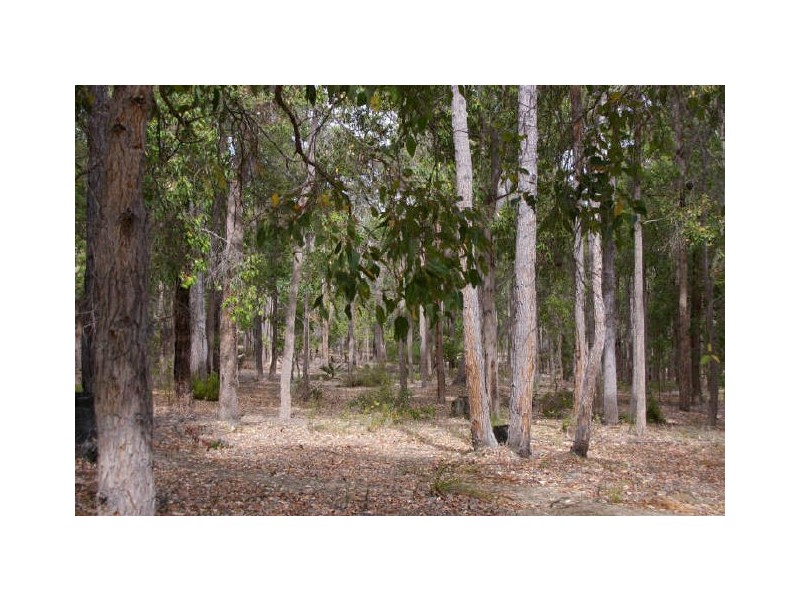Lot 17 Cockatoo Drive, Nannup WA 6275