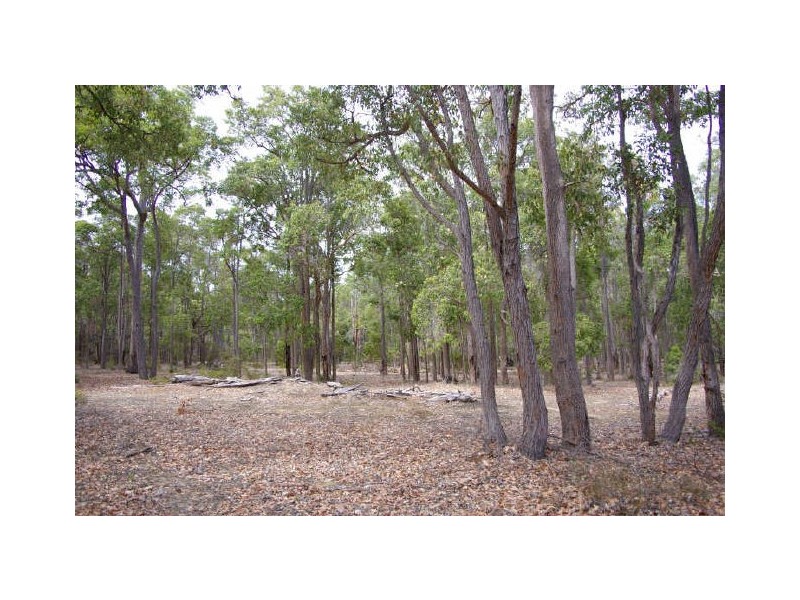 Lot 17 Cockatoo Drive, Nannup WA 6275