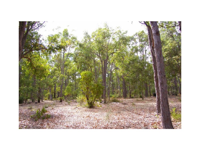 Lot 17 Cockatoo Drive, Nannup WA 6275