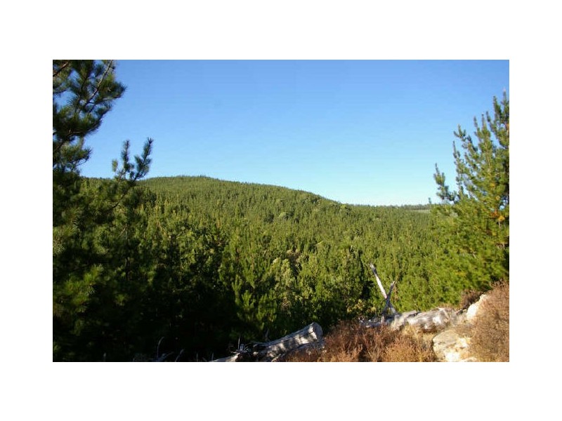 Loc 33 Folly Road, Nannup WA 6275