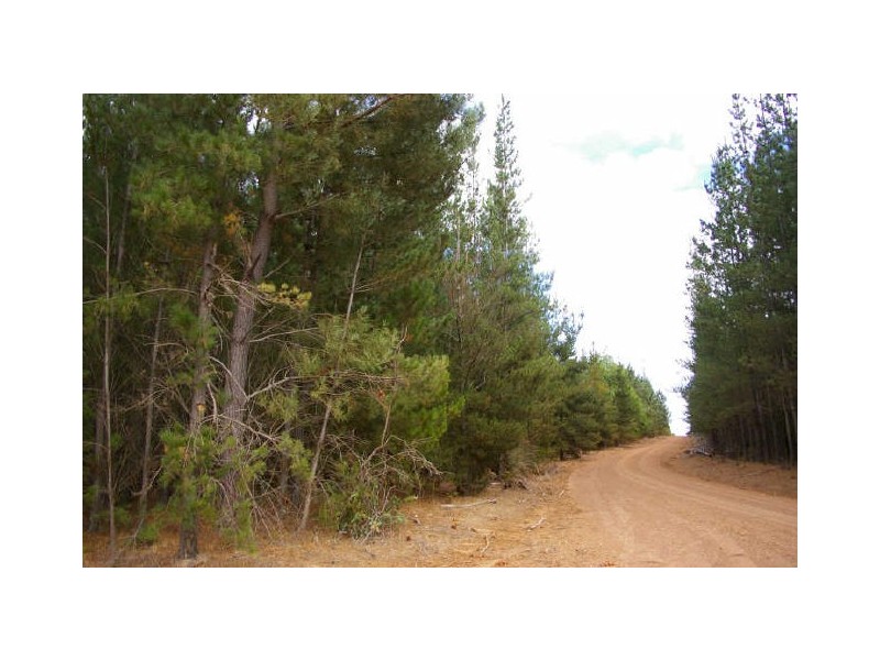 Loc 33 Folly Road, Nannup WA 6275