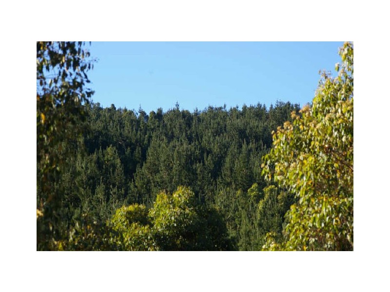 Loc 33 Folly Road, Nannup WA 6275