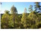 Loc 33 Folly Road, Nannup WA 6275