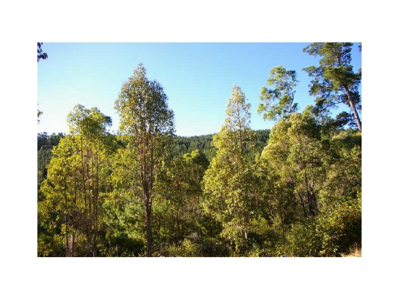 Loc 33 Folly Road, Nannup WA 6275