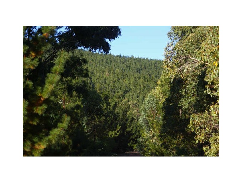 Loc 33 Folly Road, Nannup WA 6275