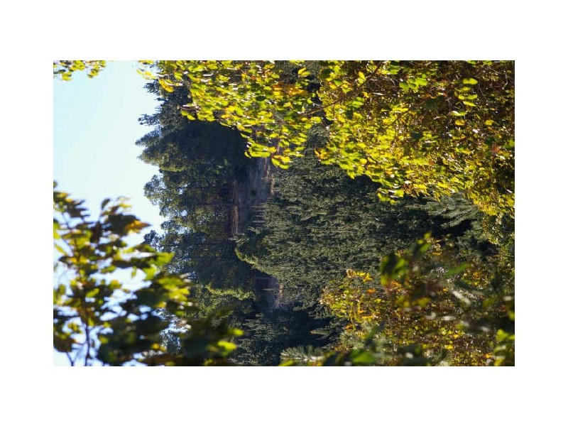 Loc 33 Folly Road, Nannup WA 6275