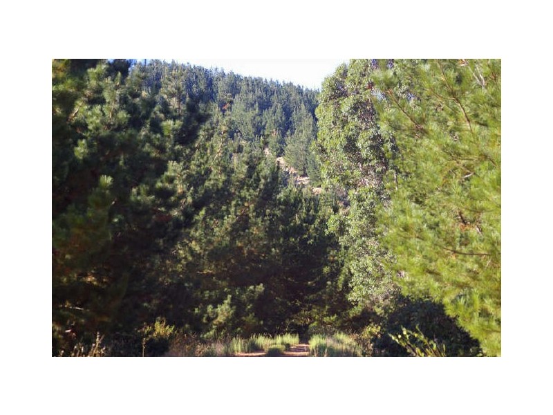 Loc 33 Folly Road, Nannup WA 6275