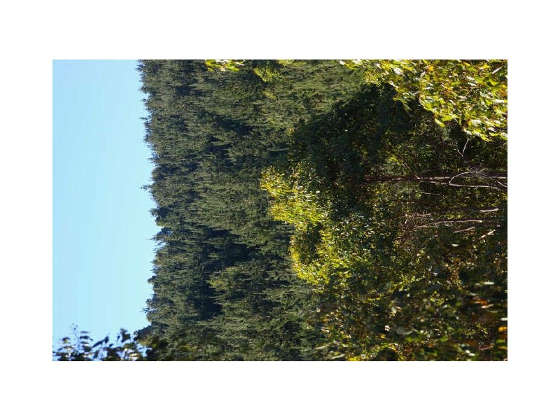 Loc 33 Folly Road, Nannup WA 6275